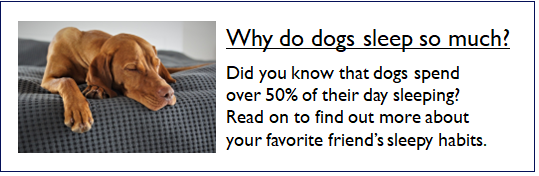 The linked text "Why do dogs sleep so much?" is next to a picture of a sleeping dog. Other unlinked text in the image says, "Did you know that dogs spend over 50% of their day sleeping? Read on to find out more about your favorite friend's sleeping habits."